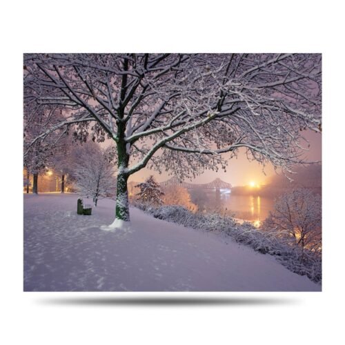 Beaver Winter Bench Photo Print