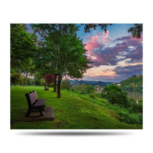 Beaver Summer Bench Photo Print