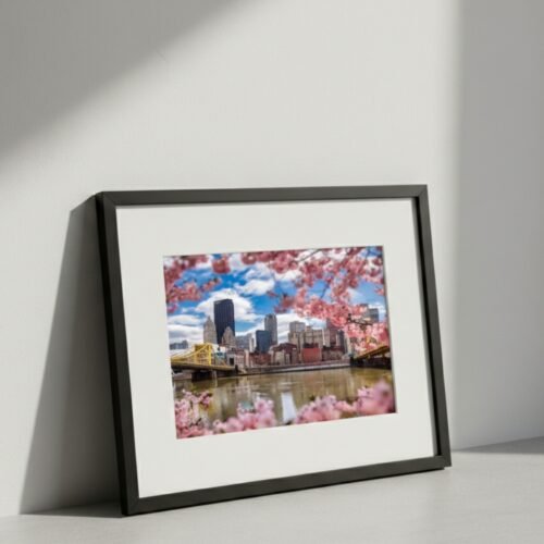 Pittsburgh Blossoms Photo Print