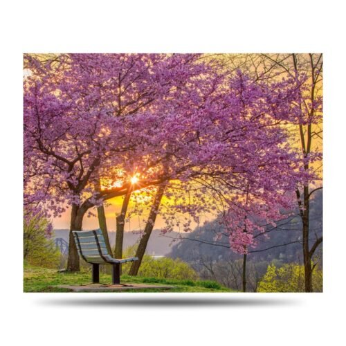 Beaver Spring Bench Photo Print