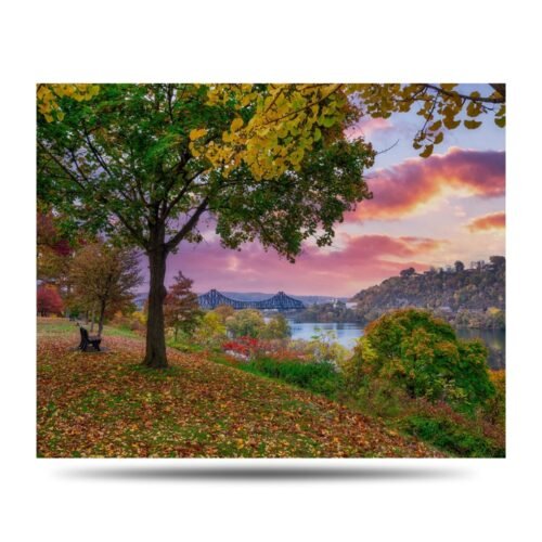 Beaver Fall Bench Photo Print