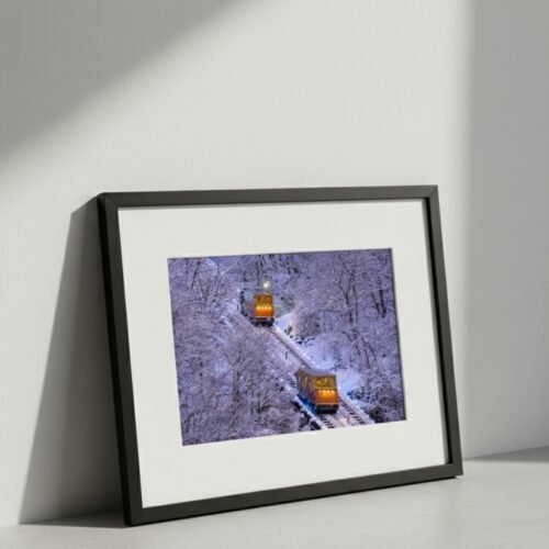 A snow ride on the mon incline